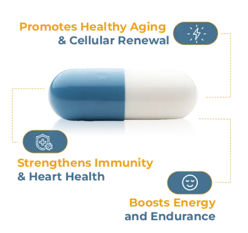 Power for Enhanced Results